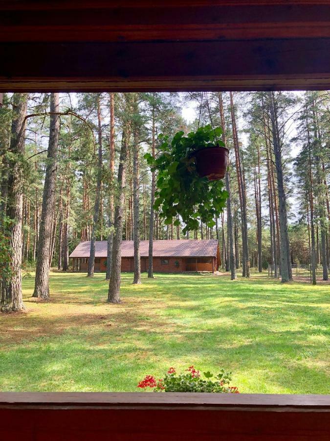 德拉肯恩凯Rojaus Slenis别墅 外观 照片